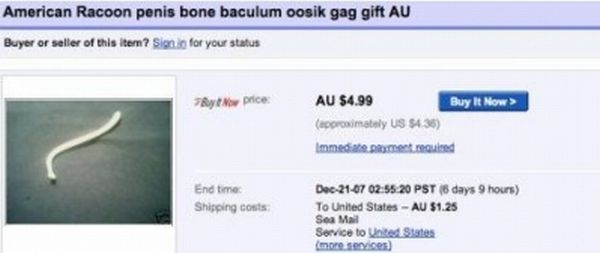 Funny And Strange eBay Auctions