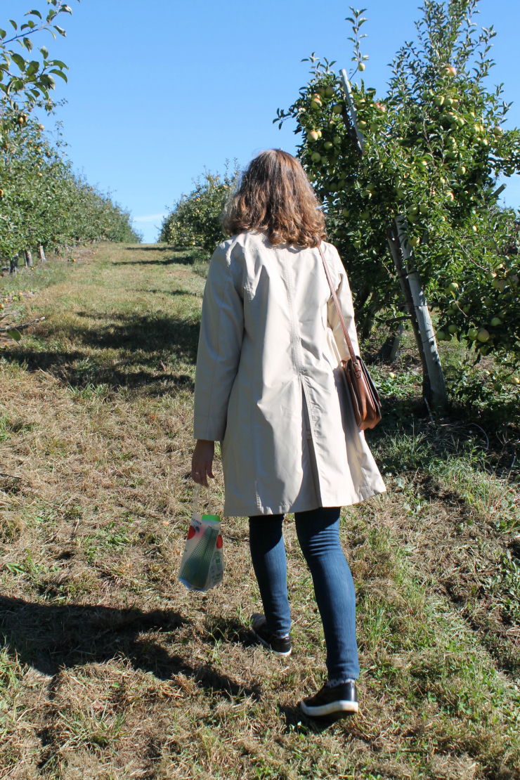  Apple picking outfit- trench coat, Breton and JORD wooden watch