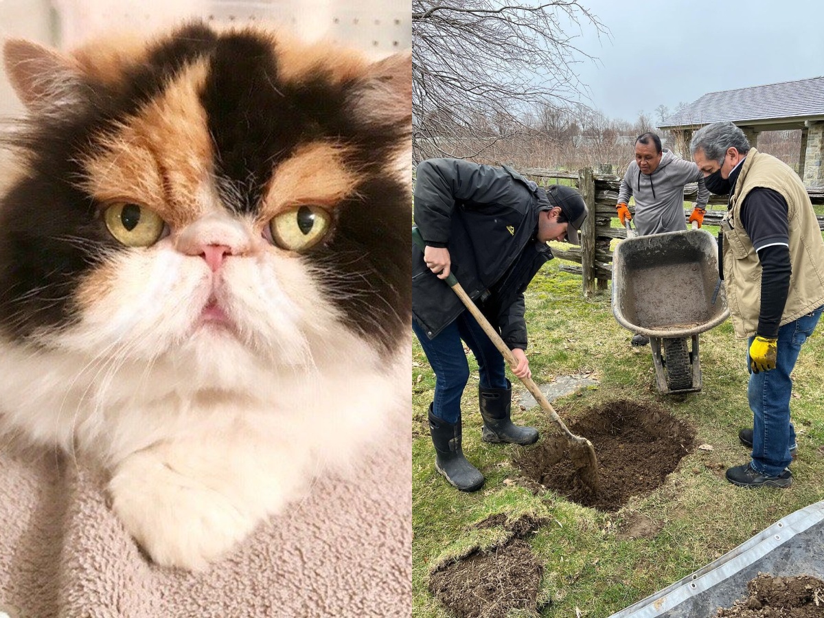 Martha Stewart's cat Princess Peony being buried