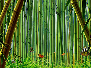 Bamboo Wallpaper - Natural Green Bamboo Desktop Wallpaper