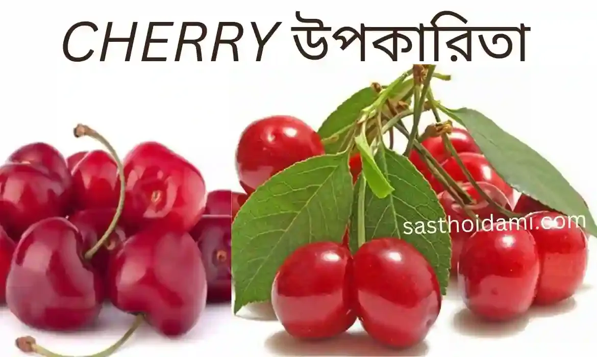 Cherry Fruit Benefits in Bengali Language. চেরি খাওয়ার উপকারিতা ও অপকারিতার।