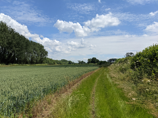 The bridleway heading E between points 4 & 5