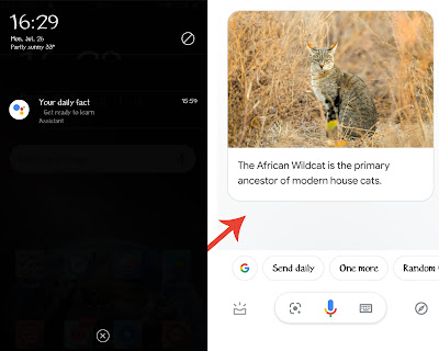 Cara Menambah Wawasan dengan Google Assistant