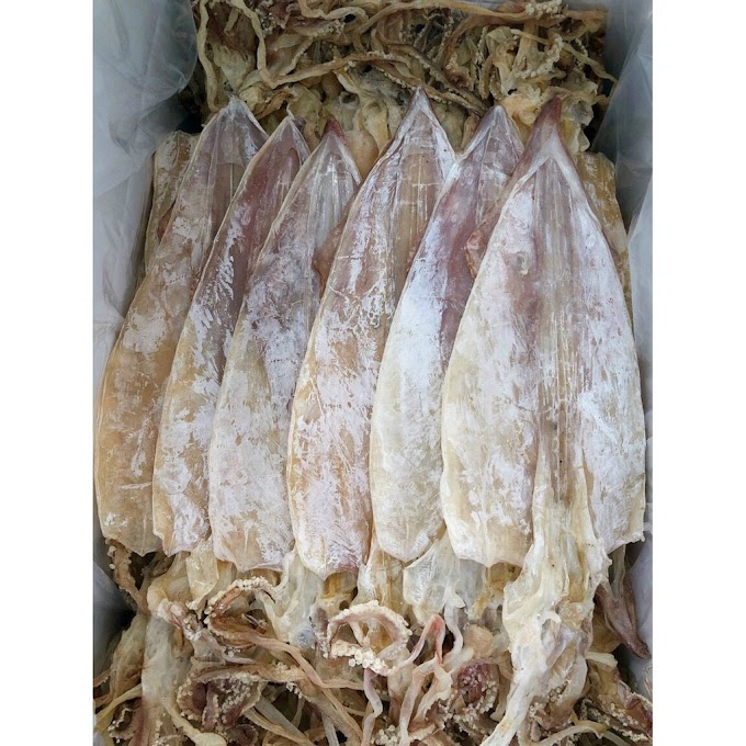 [GIẢM GIÁ] Khô mực loại ngon [18-22con/kg] siêu ngọt dày thịt Bình Thuận (túi 500g)