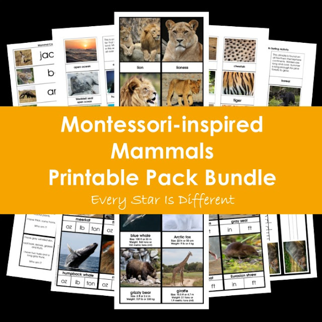 Montessori-inspired Mammals Printable Pack Bundle