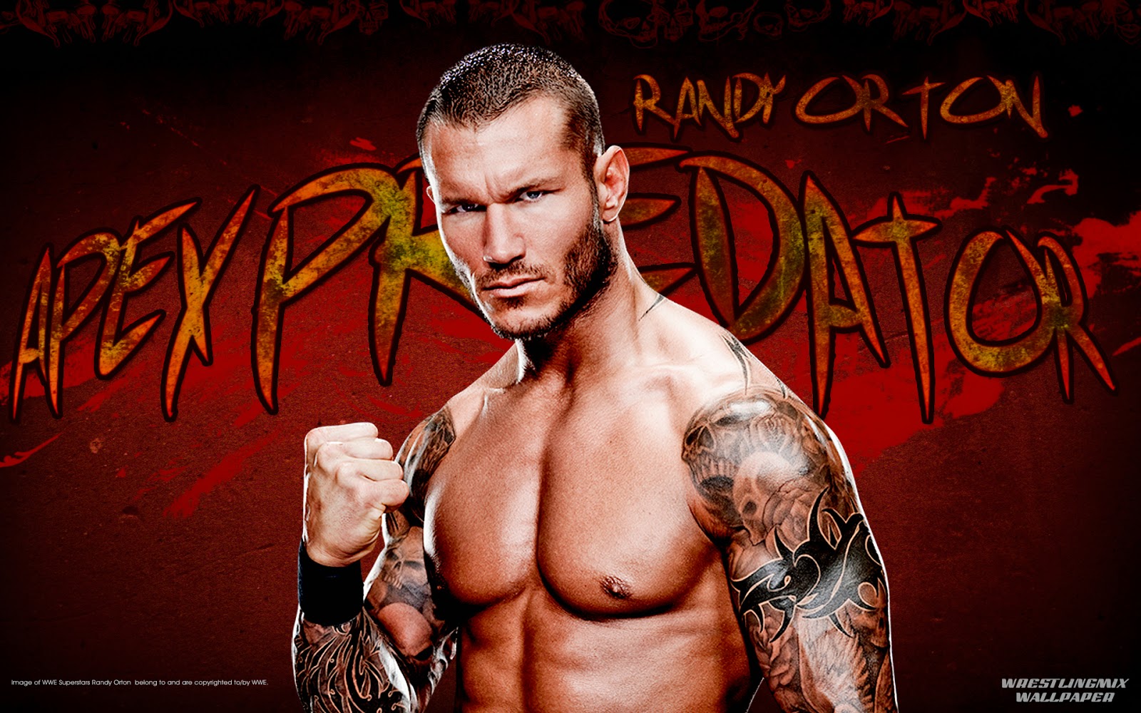 Randy Orton, WWE, Wallpaper, Photo, Images, Pics, Pictures, Widescreen, photograph, Fullscreen, Free Download Wallpapers