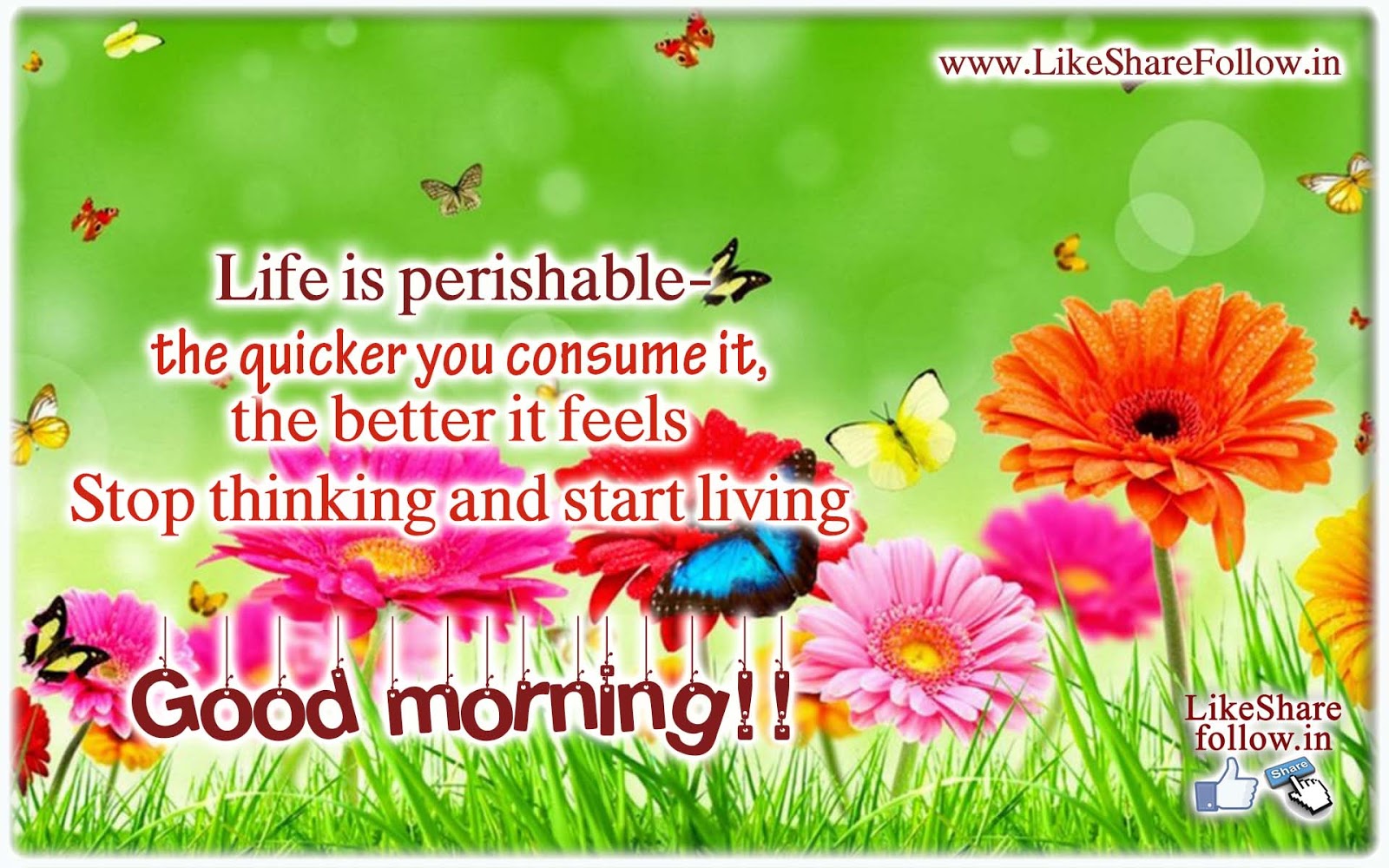 Best Good morning messages Good morning pictures wallpapers