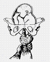 clip_image002[28]