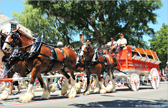 Carro de Caballos en el Desfile del 4 de Julio de Bristol