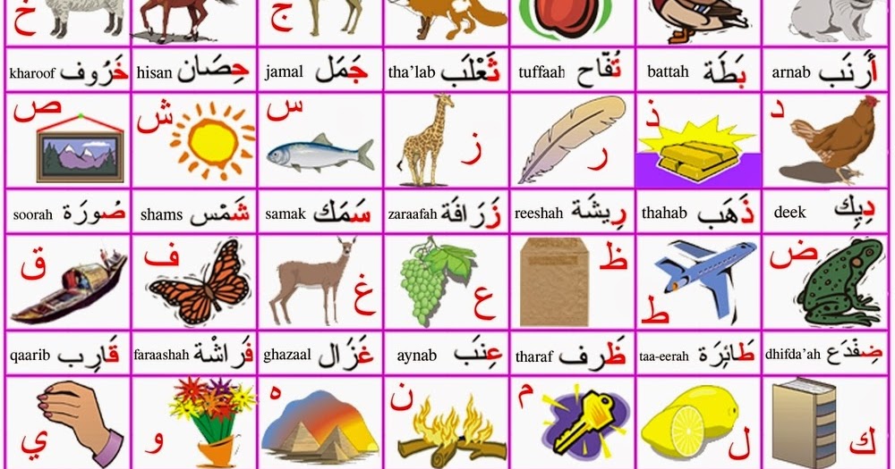 Mari belajar bahasa arab alphabet arab beserta contoh