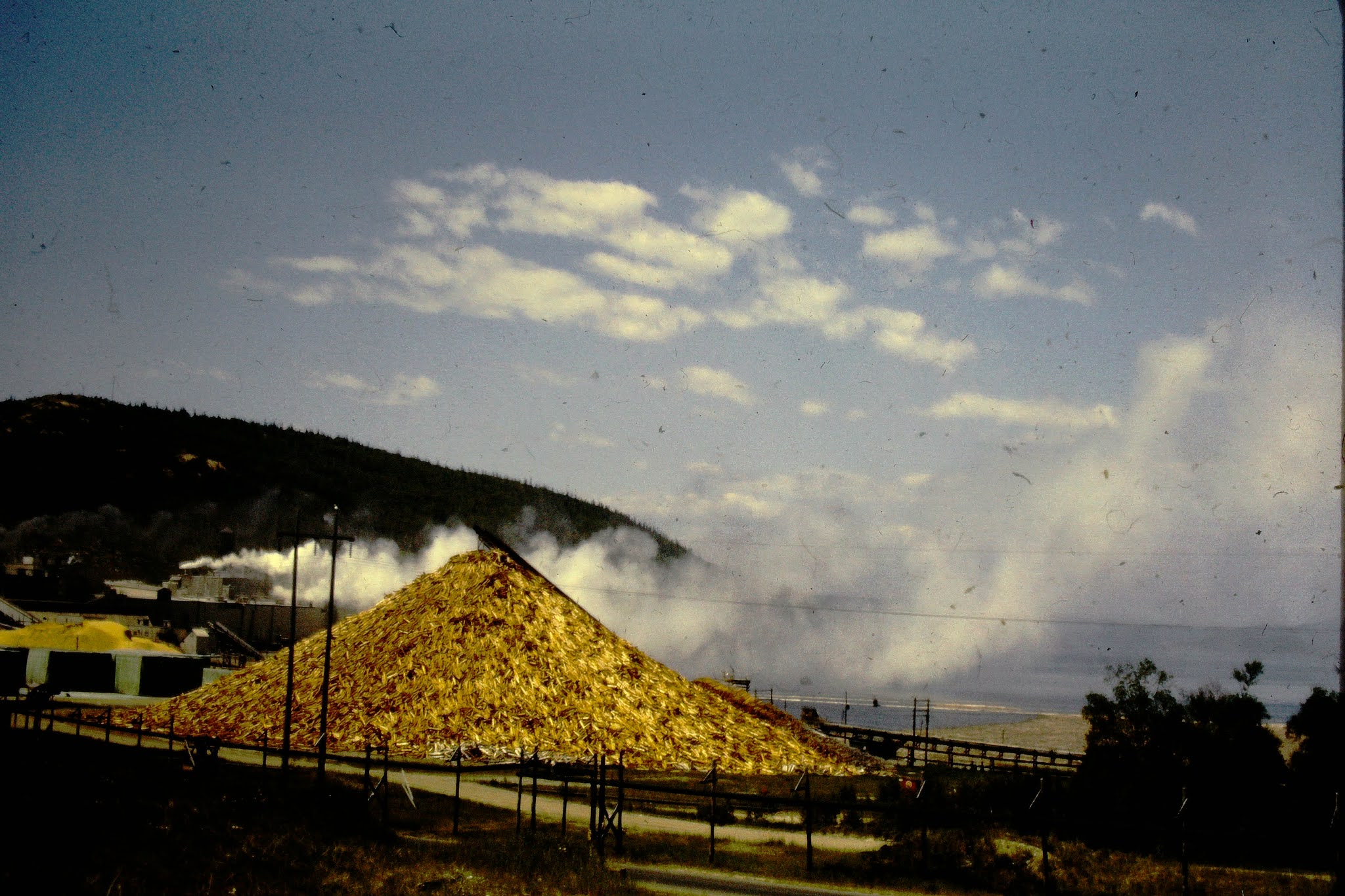 Pulp Mill Marathon Ontario 1963
