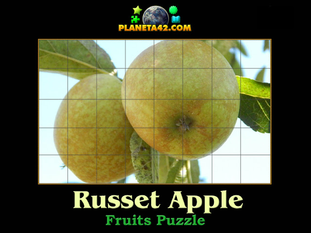 Russet Apple Puzzle