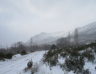 DSCN0019