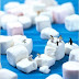 The Penguin on the Iceberg Marshmallows