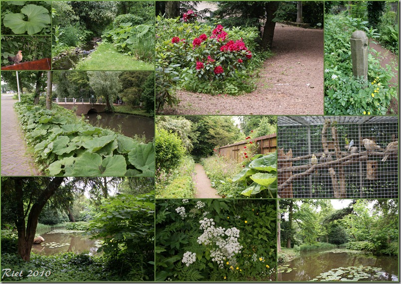 2010-06-13 schoonoord en diversen3