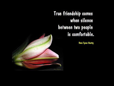 funny quotes about friendship. funny quotes about friendship.