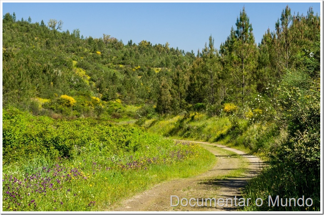 Corredor verde da Atalaia, PR2 - Corredor Ecológico das Ribeiras de Alferreireira e Barrocas