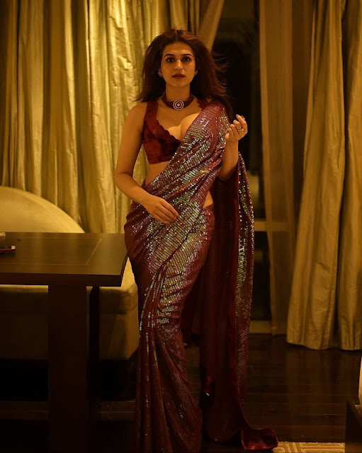 Shraddha Das in Sequin Saree