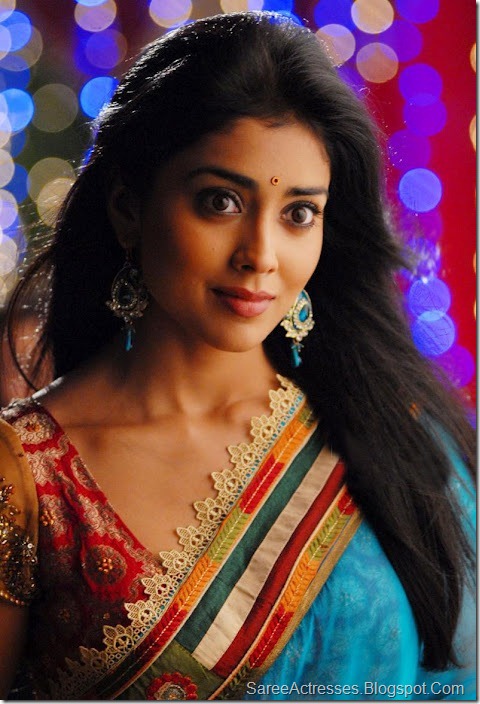 Shriya Saran Cute Saree Photos 3