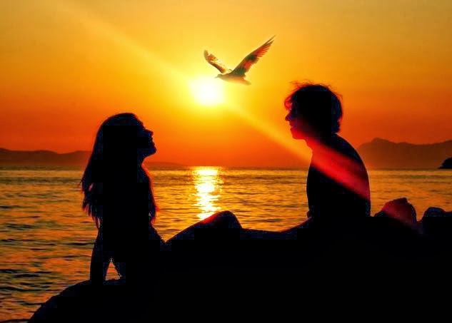 كيف أجعل حبيبي يحبني - حبيبان غروب الشمس الغروب طائر الحب - Love- sunset, love bird, silhouette, lovers