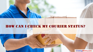 How can i check my courier status?