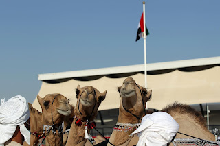 بنت الريح وعقايب و تصريح و حميا و مياسه نجوم اليوم الافتتاحي في الظفره