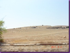 DSC01385
