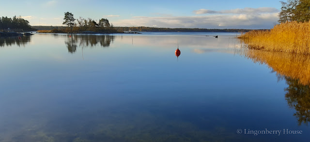 lingonberryhouse, leisure home, mökki