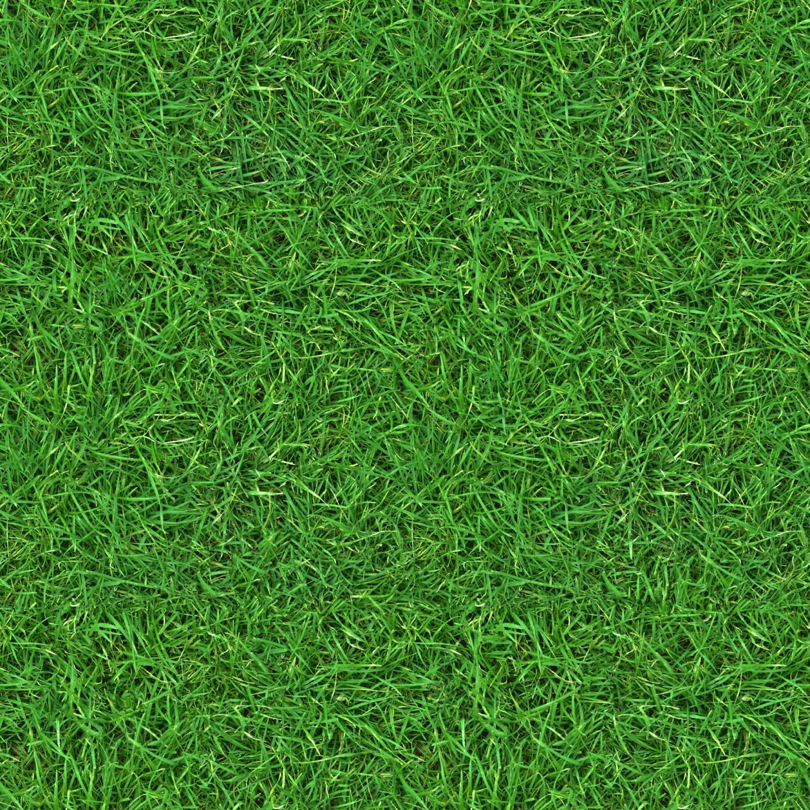 HIGH RESOLUTION TEXTURES: (GRASS 2) seamless turf lawn green ground