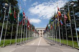 united nations essay for matric students