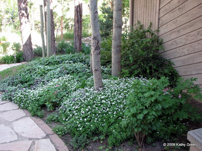 front yard landscaping ideas florida. small front yard landscaping