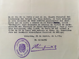 Recibo del Alcalde de Yunquera por 8 conejos procedentes del descaste de conejos de las Morenas, 25/09/1971.