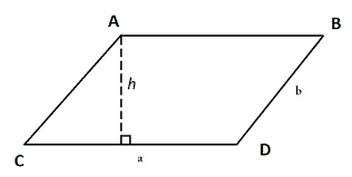 Công thức cách tính diện tích hình bình hành và bài tập