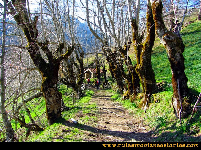 Ruta al Campigüeños y Carasca: Majada Carricetra