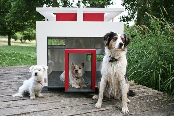 House designs for Dog