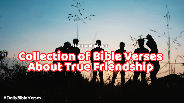 Collection of Bible Verses About True Friendship