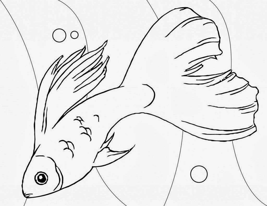 Cute Fish For Kid Coloring Drawing Free wallpaper