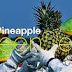 Lowongan Kerja PT. Great Giant Pineapple