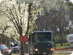 DSCN4773