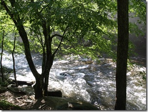 Beautiful stream line the route, all of them stocked with trout and allowed to be fished with a license