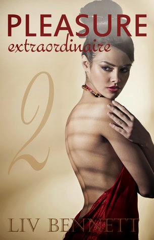 ebook erotica lady porn