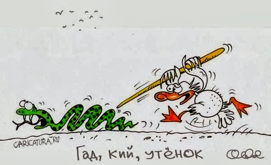 TJfQ6Pzeyrw