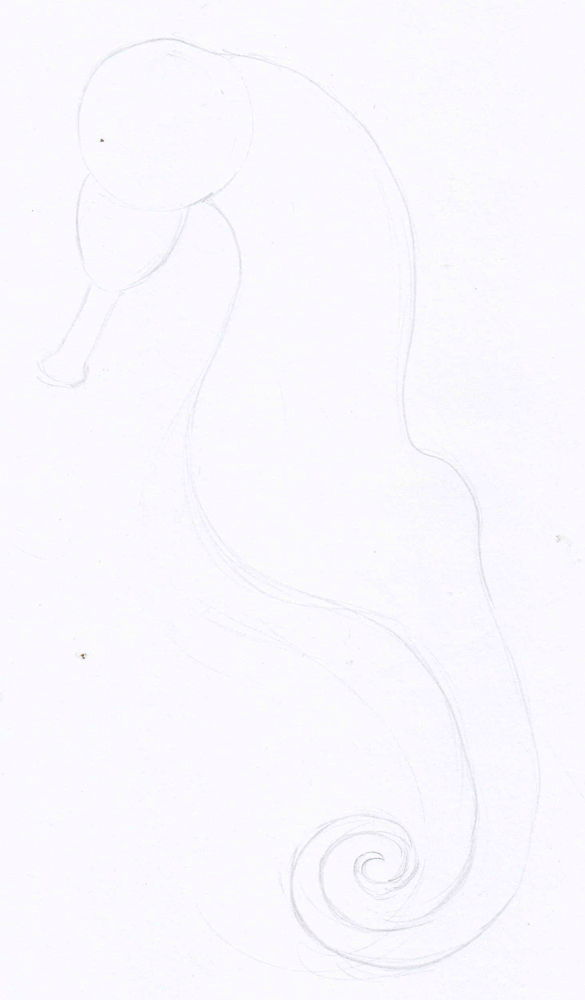 Weekly : Doodles and tuts: Drawspace lesson F12: how to draw a Seahorse.