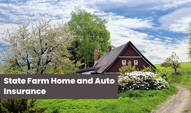 State Farm Home and Auto Insurance