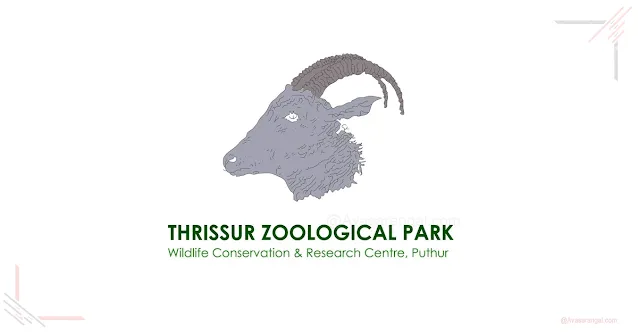 Thrissur Zoological Park (KIFBI Project) Recruitment 2023 - 14 vacancy.