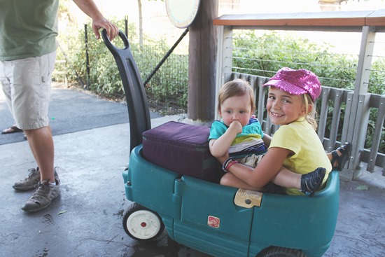 20130814 hogle zoo (85) edit