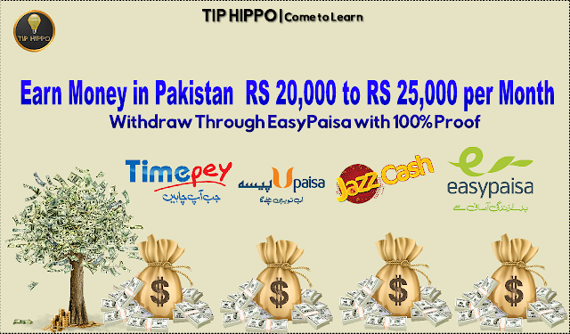 Earn Online in Pakistan 20,000 to 25,000 with Proof | Withdraw Through EasyPaisa | TIP HIPPO