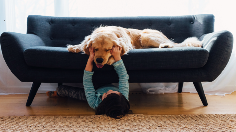 Researchers from the University of Toronto found that young children growing up with a family dog have a healthier intestine and are less likely to develop Crohn's disease - a common IBD.