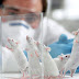 Επιστήμονες καταφέρνουν να θεραπεύσουν εννέα ποντίκια από HIV 