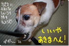 今日カズ１００４１８　２